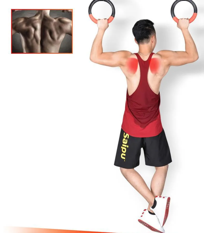 Red gymnastic rings with birch sling and rubber ring on a horizontal bar, outer diameter 24cm, 250kg load capacity