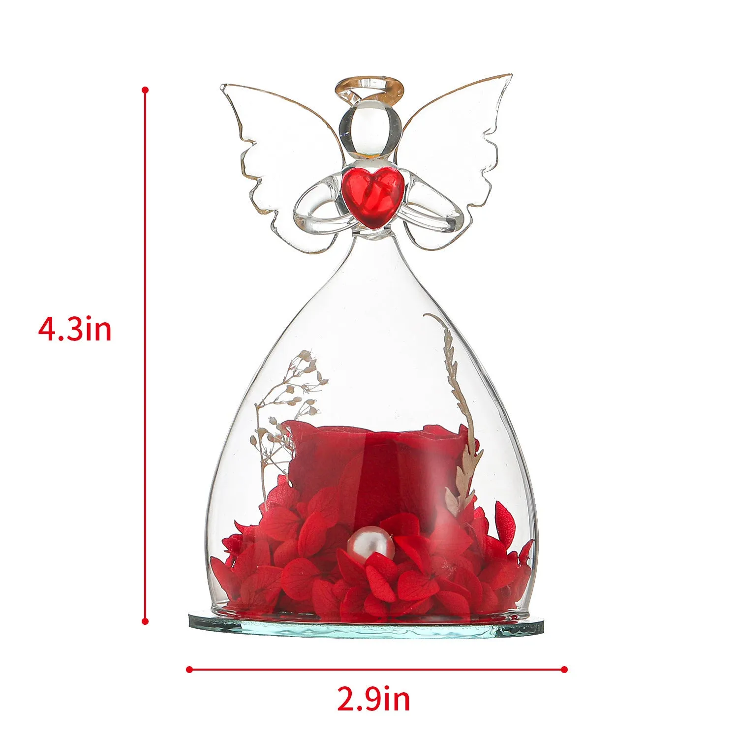 Red preserved rose in a glass cover decoration inside a gift box for Christmas and Valentine’s Day