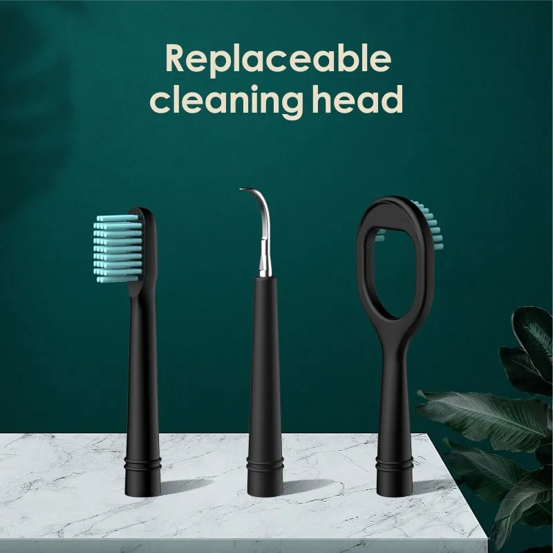 Household dental scaler kit with handle, three cleaning heads, storage tray, and USB charging cable.