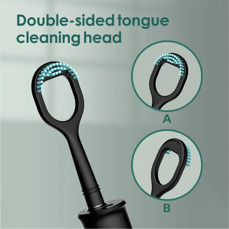 Household dental scaler kit with handle, three cleaning heads, storage tray, and USB charging cable.