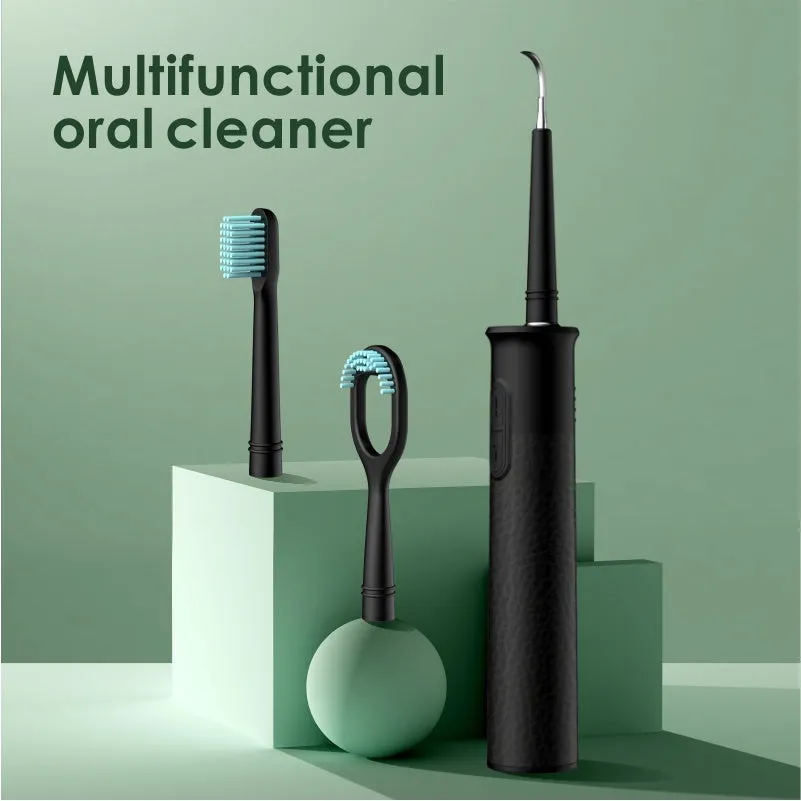 Household dental scaler kit with handle, three cleaning heads, storage tray, and USB charging cable.