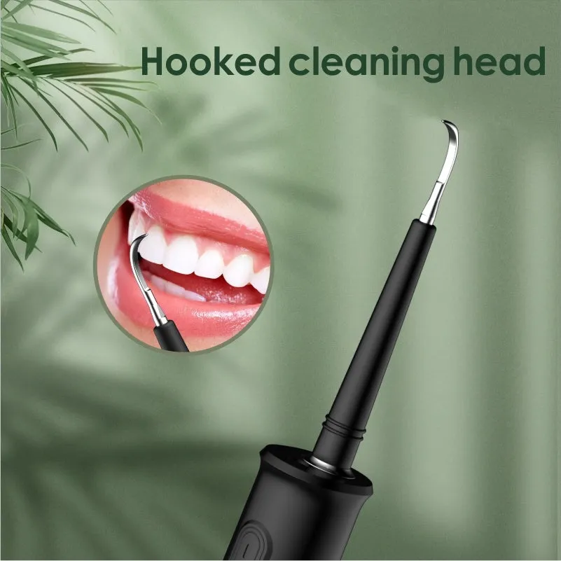 Household dental scaler kit with handle, three cleaning heads, storage tray, and USB charging cable.
