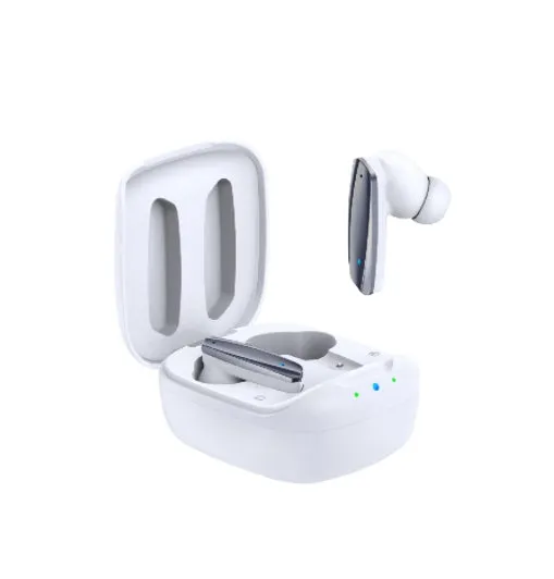 Black and white TWS Bluetooth 5.1 wireless earbuds with USB charging case
