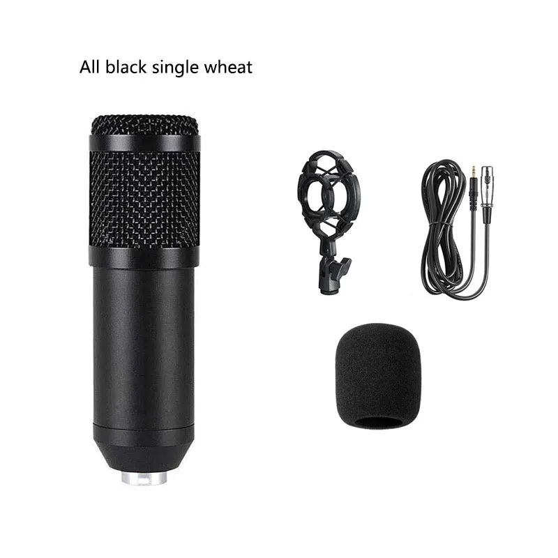 Bm800 condenser microphone kit with shock mount bracket, large pop filter, and foam windscreen on a desk.