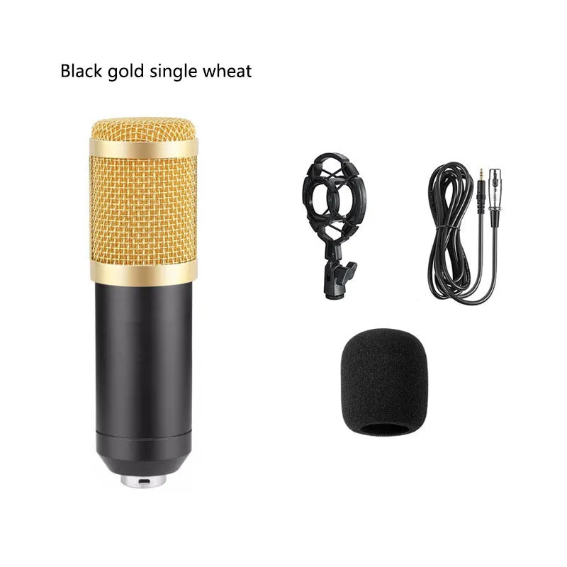 Bm800 condenser microphone kit with shock mount bracket, large pop filter, and foam windscreen on a desk.