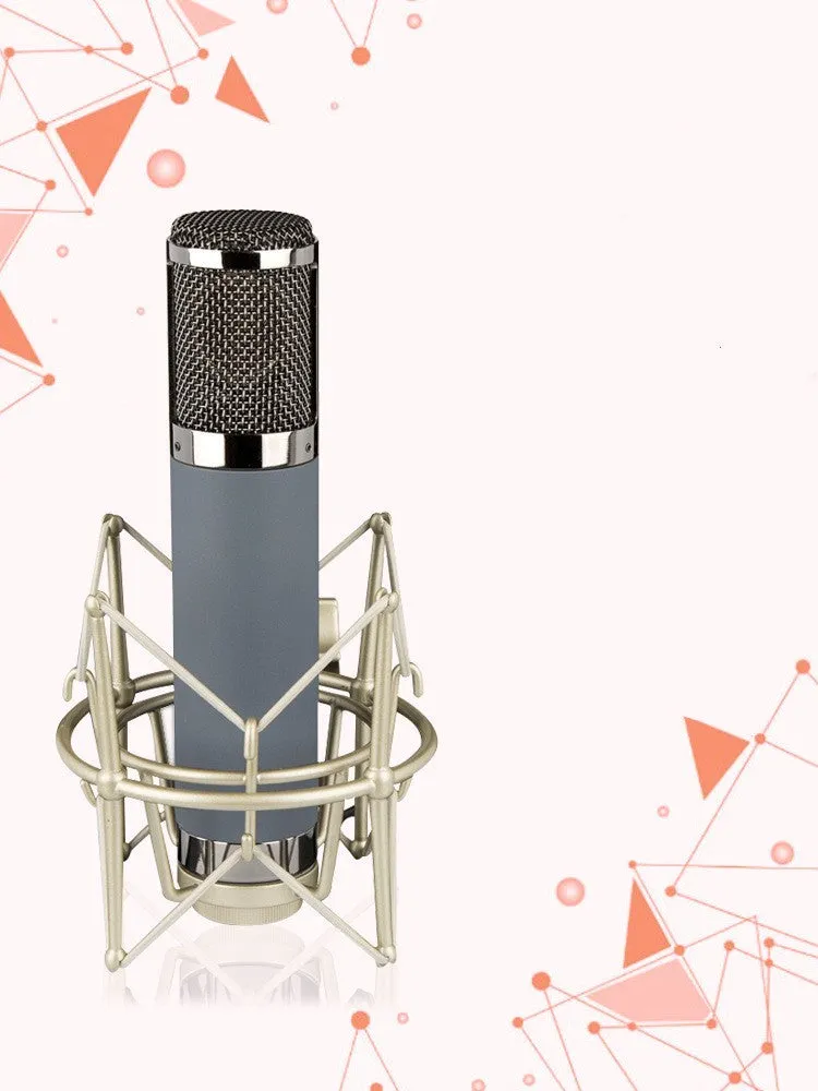 Condenser microphone with 34mm gold diaphragm and cardioid pickup on shockproof rack