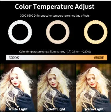 Self-made fill light artifact 5W LED ring light 20cm five-in-one kit black with tripod and phone clip on desk