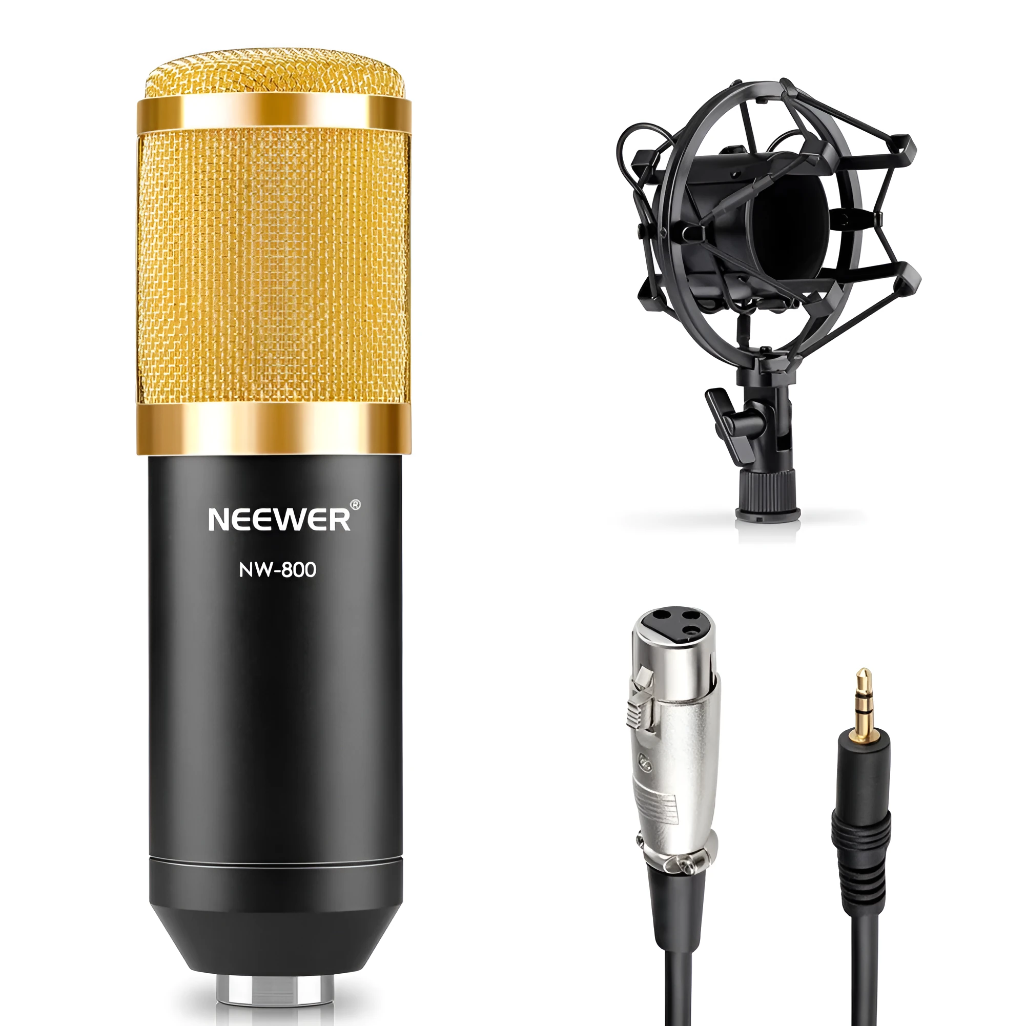 NW-800 black metal condenser microphone with shock mount and foam cap on stand
