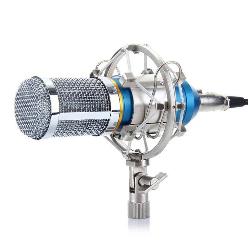 NW-800 black metal condenser microphone with shock mount and foam cap on stand