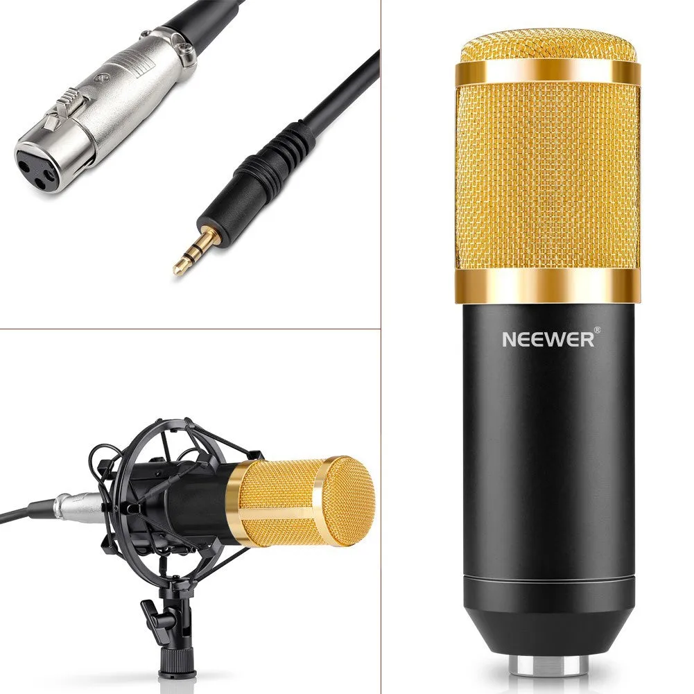 NW-800 black metal condenser microphone with shock mount and foam cap on stand