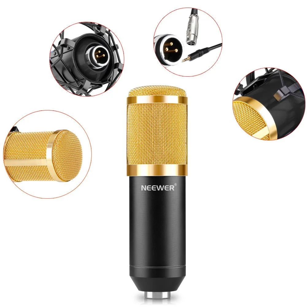 NW-800 black metal condenser microphone with shock mount and foam cap on stand