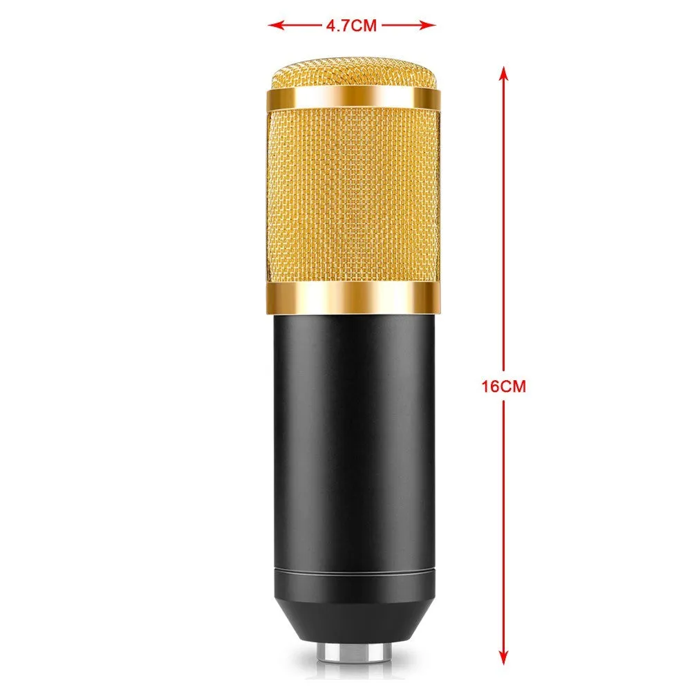 NW-800 black metal condenser microphone with shock mount and foam cap on stand