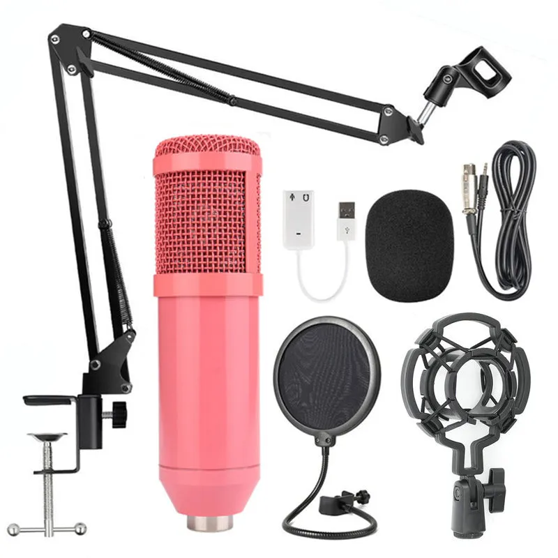 BM-800 condenser microphone set with net stand in black on desktop