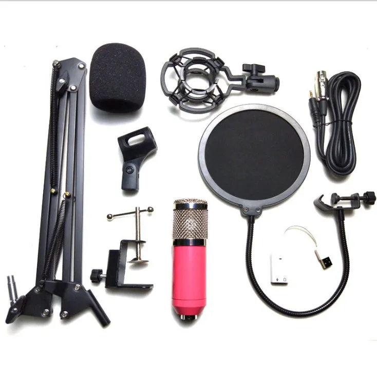 BM-800 condenser microphone set with net stand in black on desktop