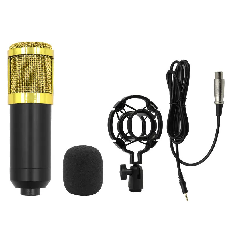BM800 capacitor microphone set with cantilever bracket for wireless mobile phone recording