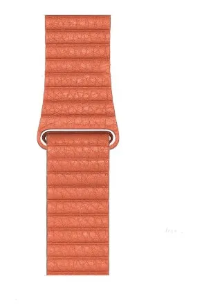 Genuine leather magnetic absorption strap for Apple Watch fitted on wrist, saddle brown colour