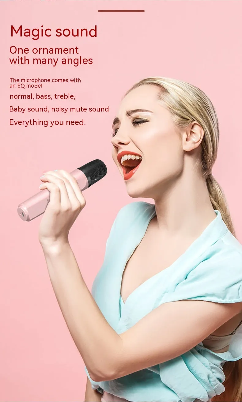 Portable Bluetooth speaker with dual wireless microphones RGB light black 15W