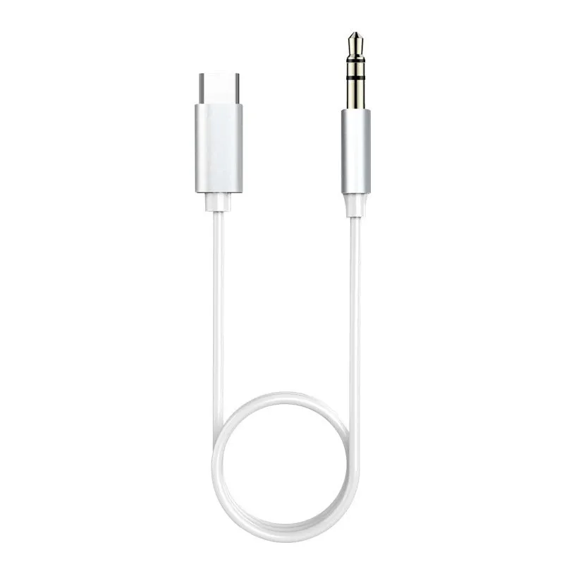 Fashion Speaker Amplifier Conversion Wire Silver Gray TPE metal shell Mini USB and Type-C to 3.5mm cables on white background
