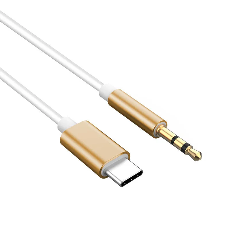 Fashion Speaker Amplifier Conversion Wire Silver Gray TPE metal shell Mini USB and Type-C to 3.5mm cables on white background