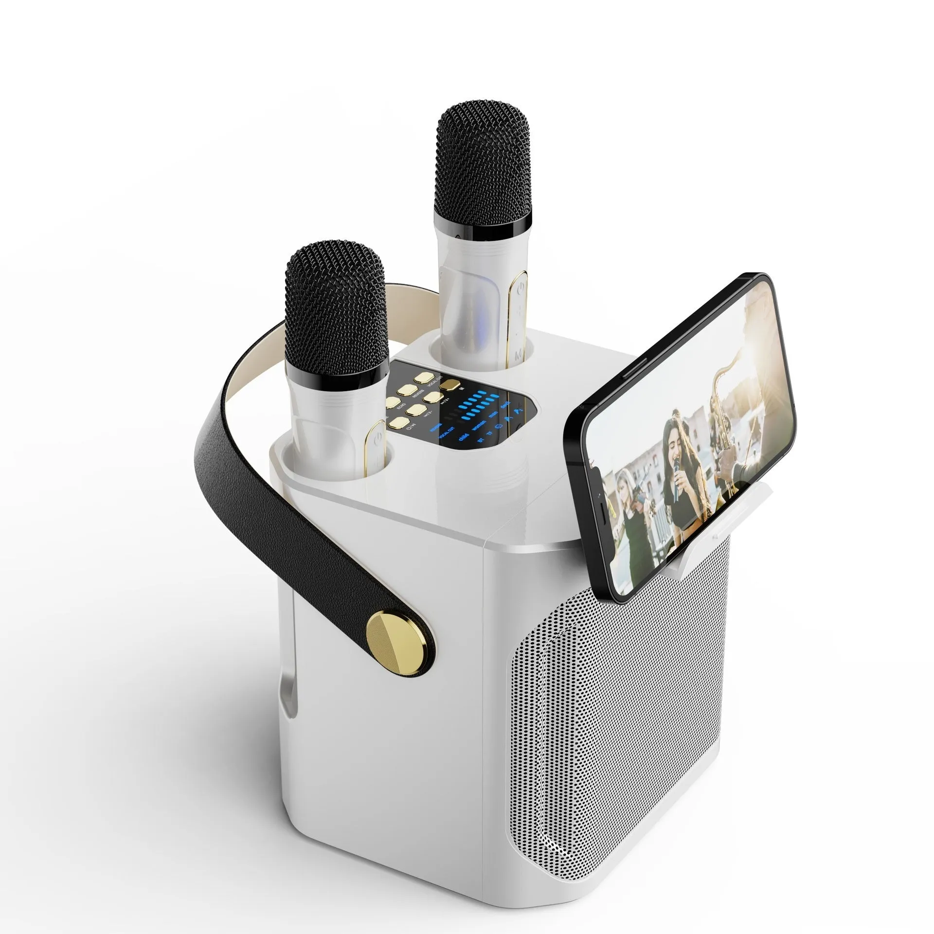 Bluetooth speaker with dual microphones for outdoor karaoke, black colour, showing front panel and microphone slots