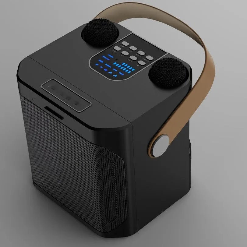 Bluetooth speaker with dual microphones for outdoor karaoke, black colour, showing front panel and microphone slots