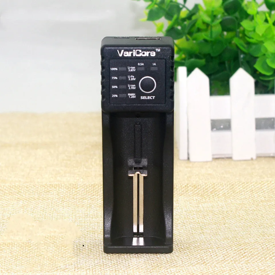 V10 universal battery charger with USB output for 18650 Li-ion and NiMH cells