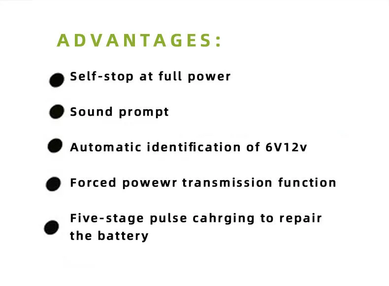 BT 168 12V and 24V automobile battery charger with American Standard plug.