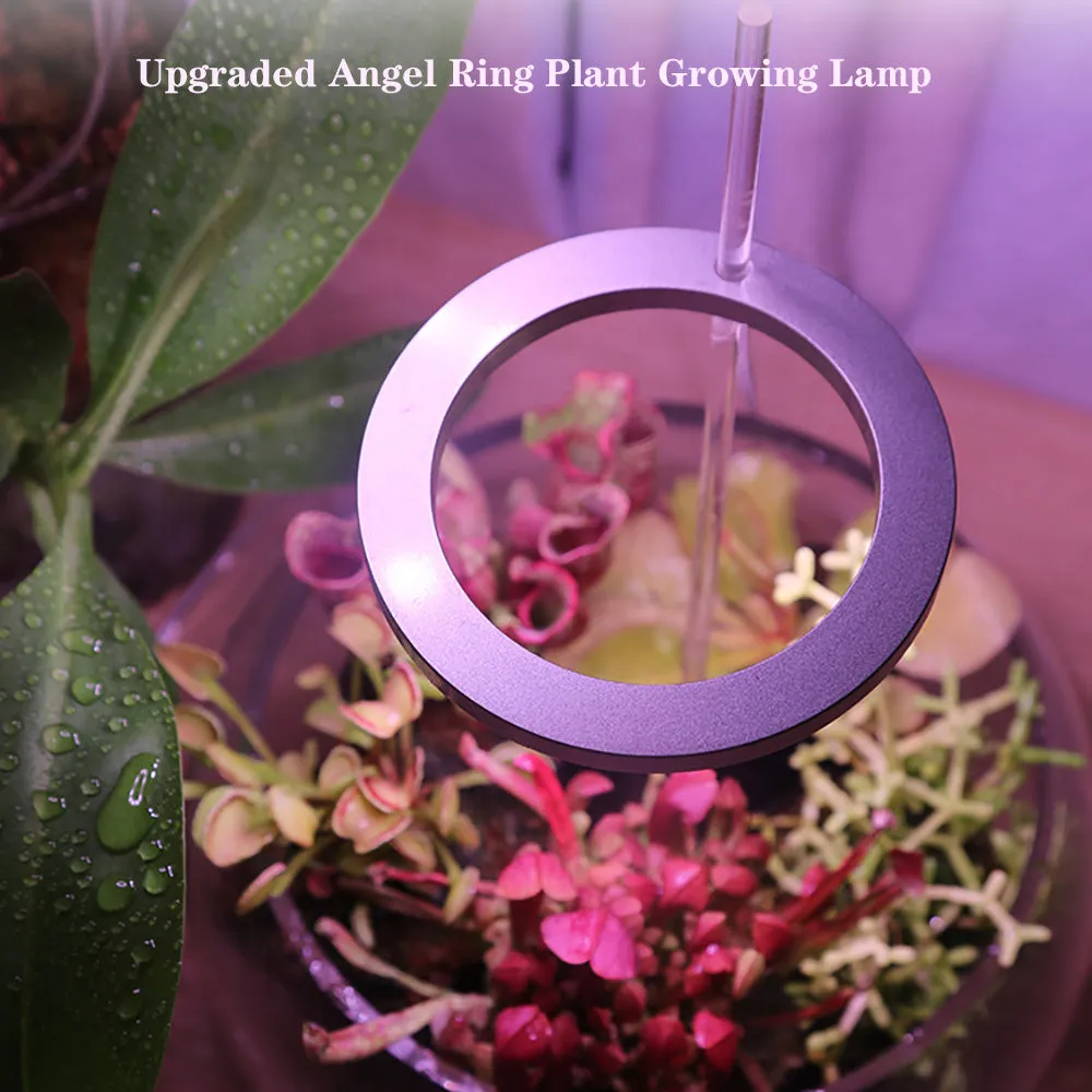 USB-powered LED grow light for indoor plants with circular design and configurable lighting heads