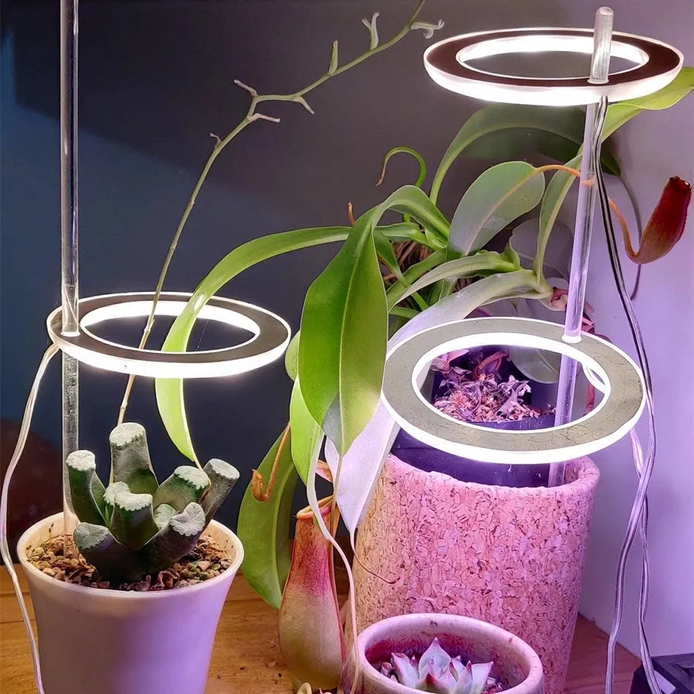 USB-powered LED grow light for indoor plants with circular design and configurable lighting heads