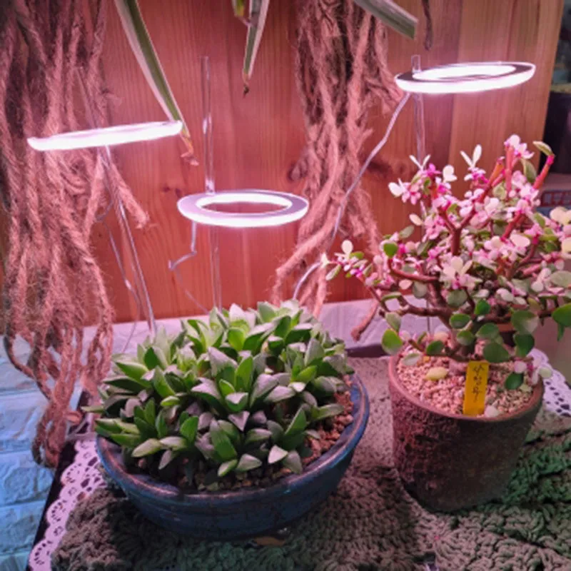 USB-powered LED grow light for indoor plants with circular design and configurable lighting heads