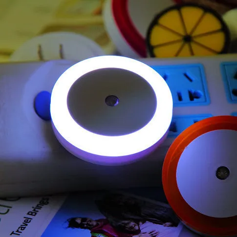 Circular halo-shaped LED induction lamp with magnetic mount for portable use on market stalls