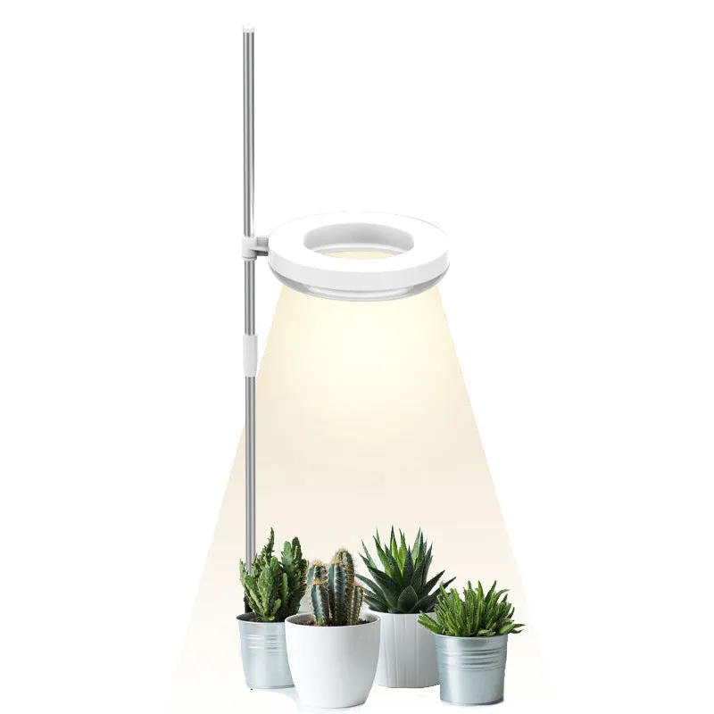 A white clamp-on plant growth lamp with an adjustable head, positioned next to small indoor potted plants on a desk.