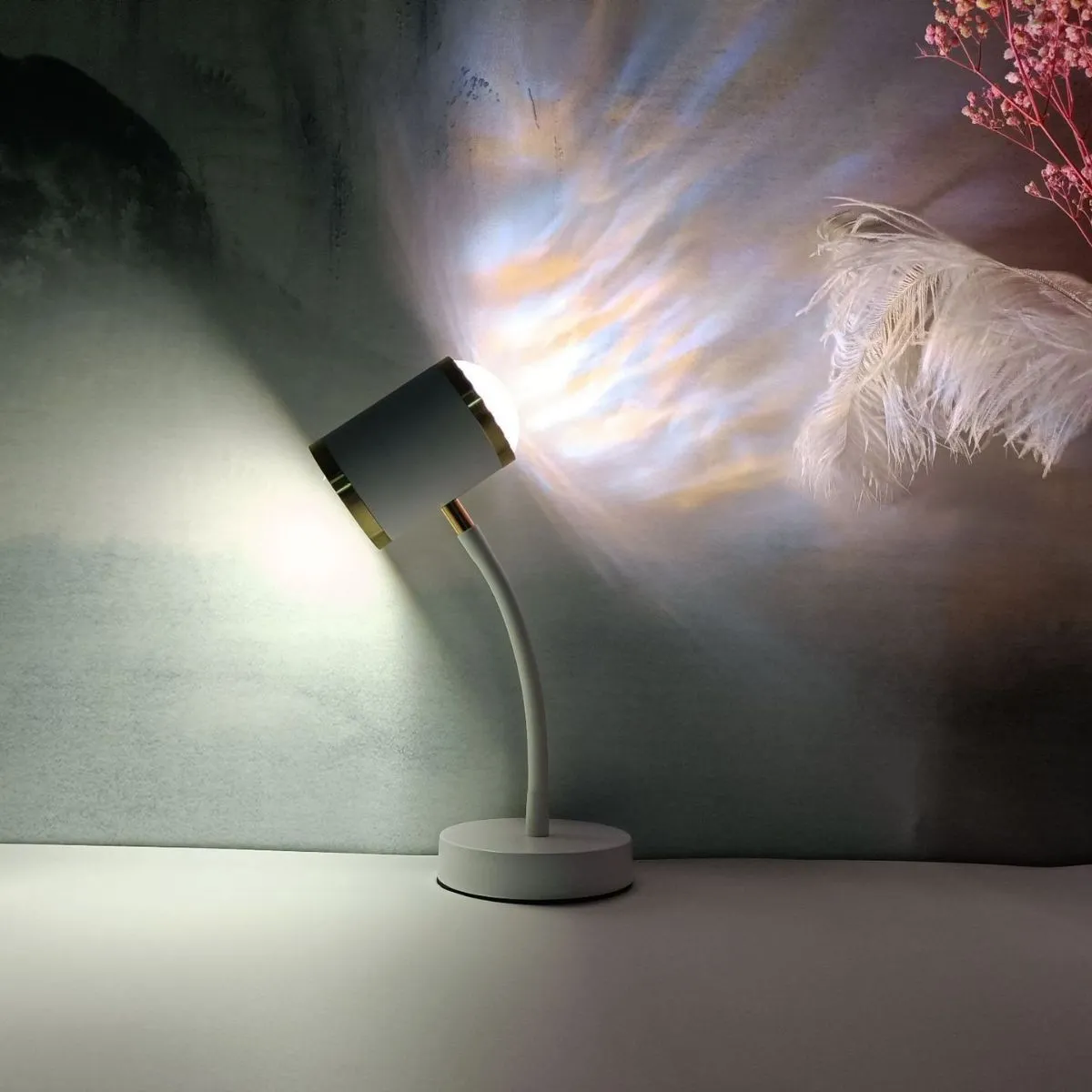 Black double-headed photography streaming desk lamp with metal holder and wire switch