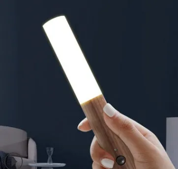 Brown and white induction night light with LED source and plexiglass shade for corridors