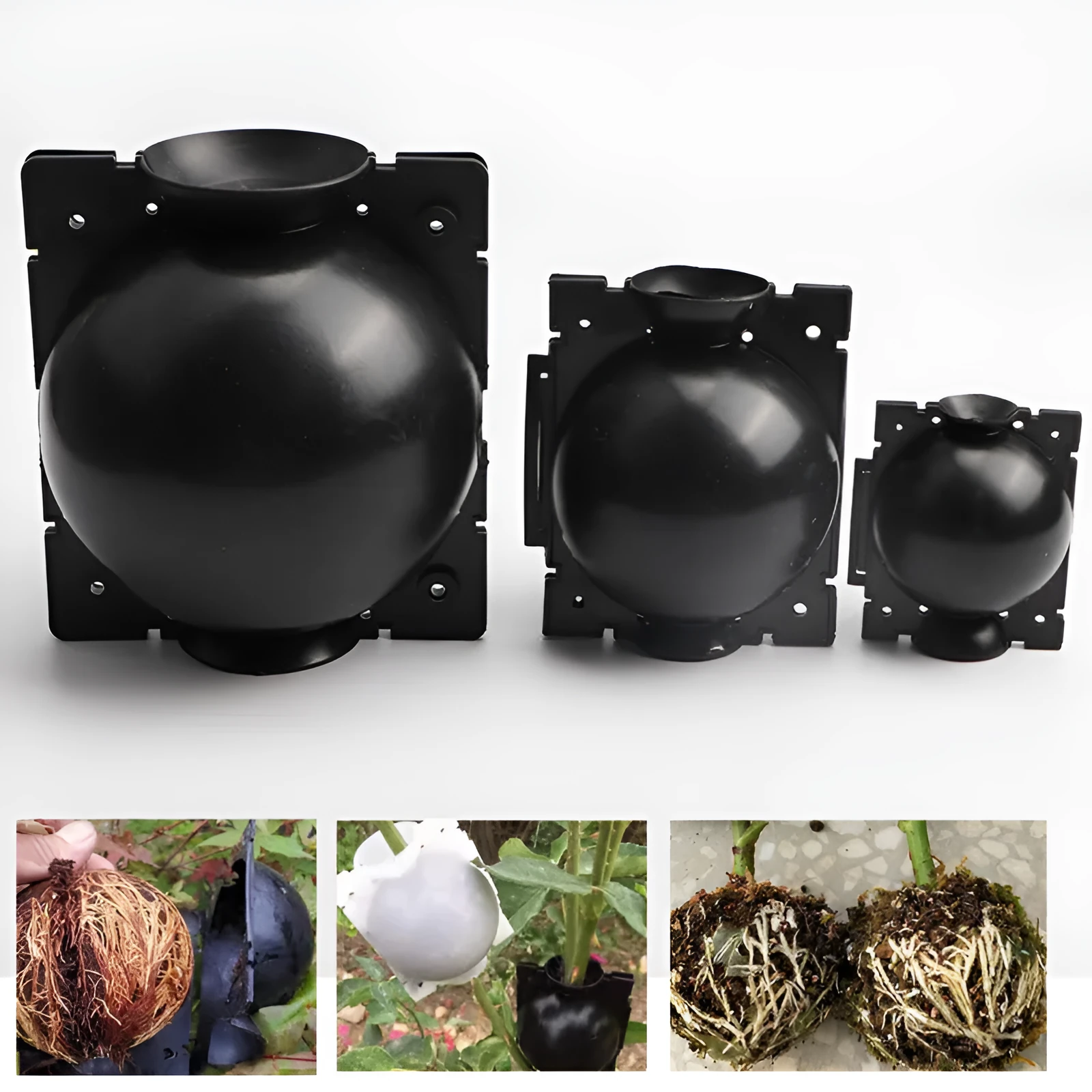 PP plastic plant propagation box or grafting ball for high pressure air layering, shown in black, green, and white colour options.