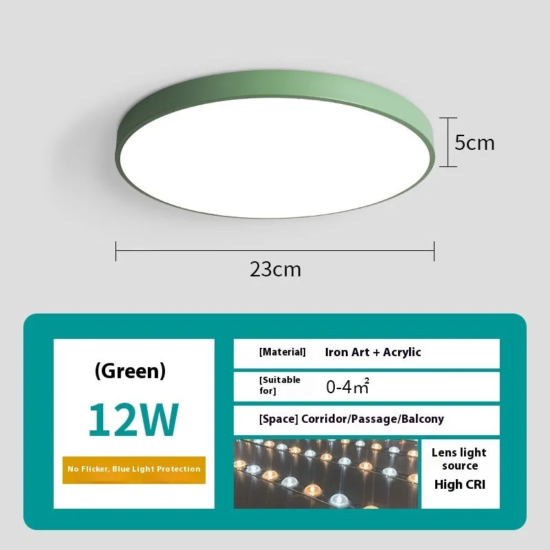 Ultra-thin 22cm 12W LED ceiling light with remote control dimming for modern minimalist rooms