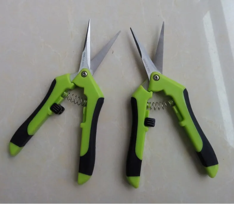 Green garden pruning scissors with stainless steel blade, 16.5 cm long, on a white background