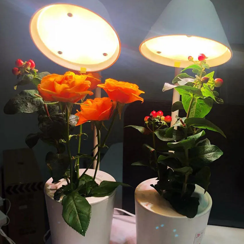 A white plastic hydroponic container for desktop soilless plant cultivation.