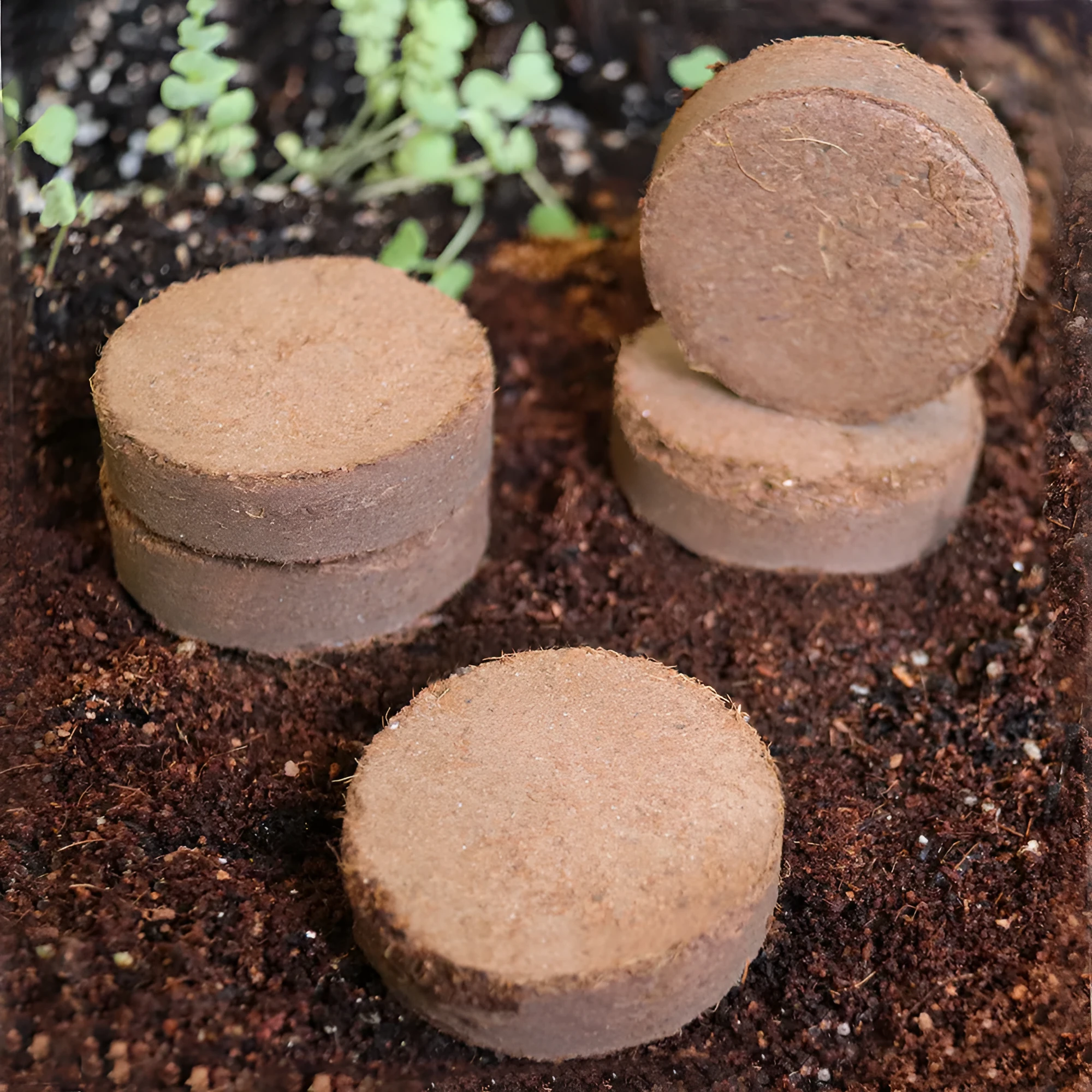 Assorted nutrient soil blocks for vegetable planting and seedling cultivation in different sizes.