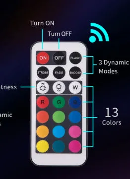 Compact white plastic remote control LED diving light for aquarium, shown with remote.