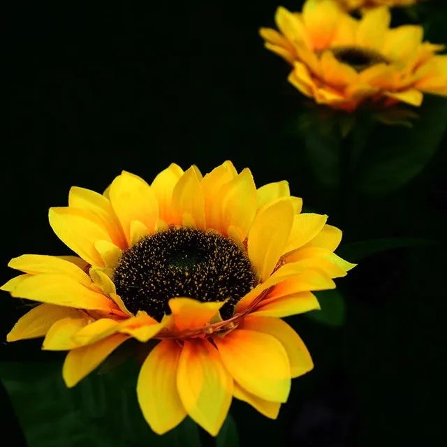 Set of LED solar sunflower garden lights with yellow Bujuan flower heads and stainless steel stems placed along a pathway