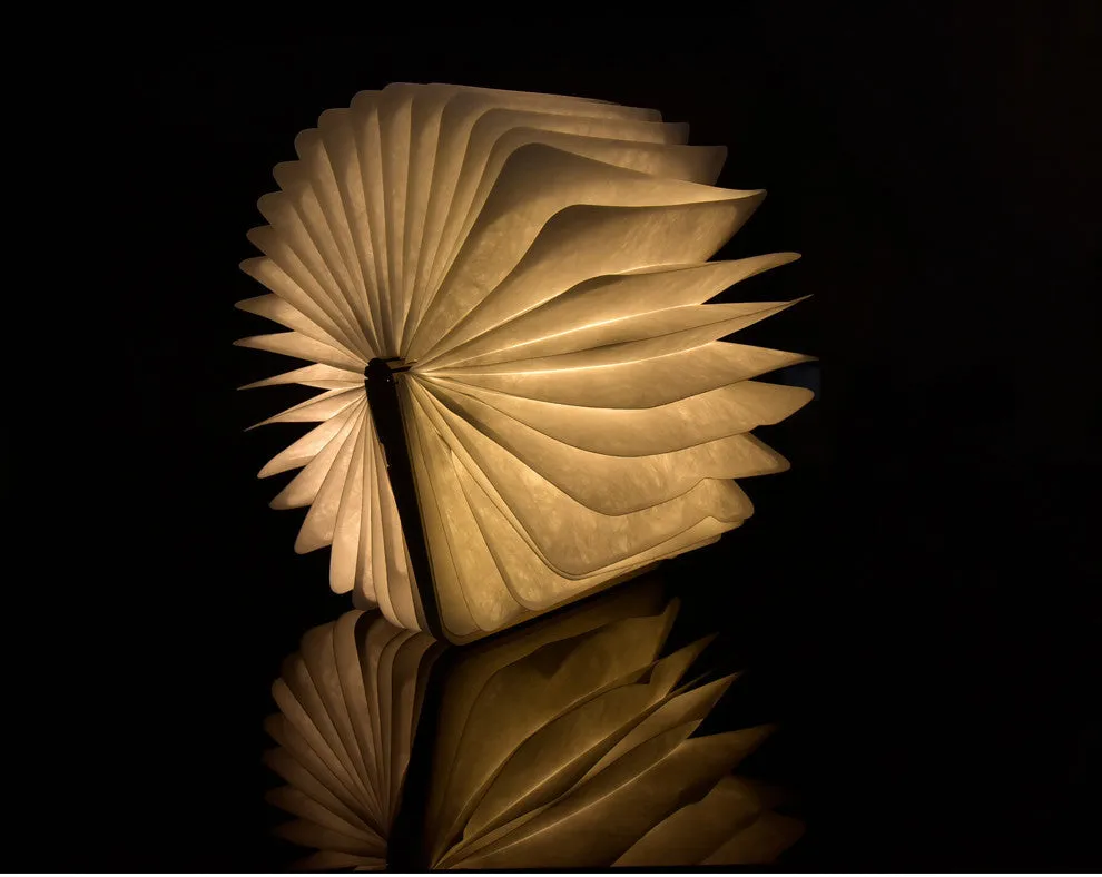 Walnut wooden book light open with colour changing LED pages on a desk