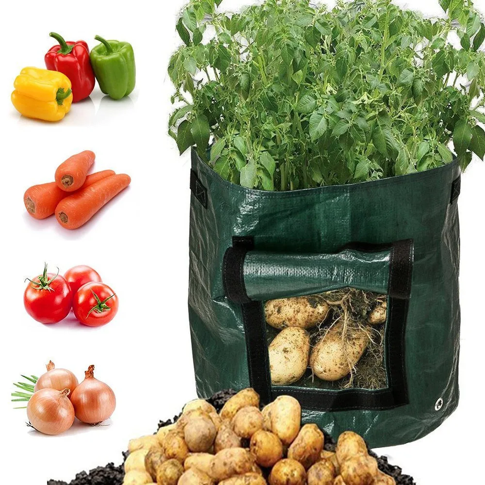 Dark green PE garden planting bag with side windows and double handles on a balcony