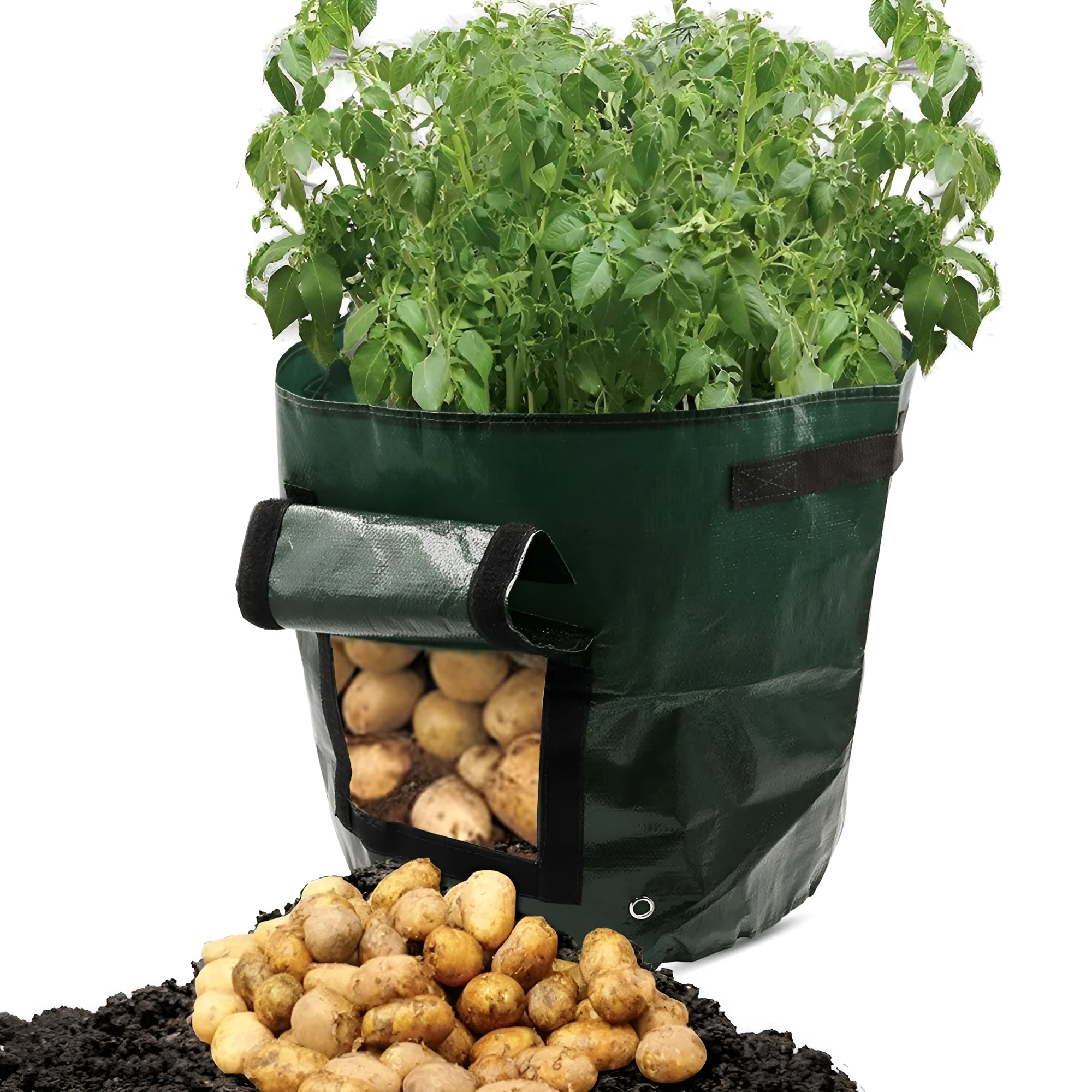 Dark green PE garden planting bag with side windows and double handles on a balcony
