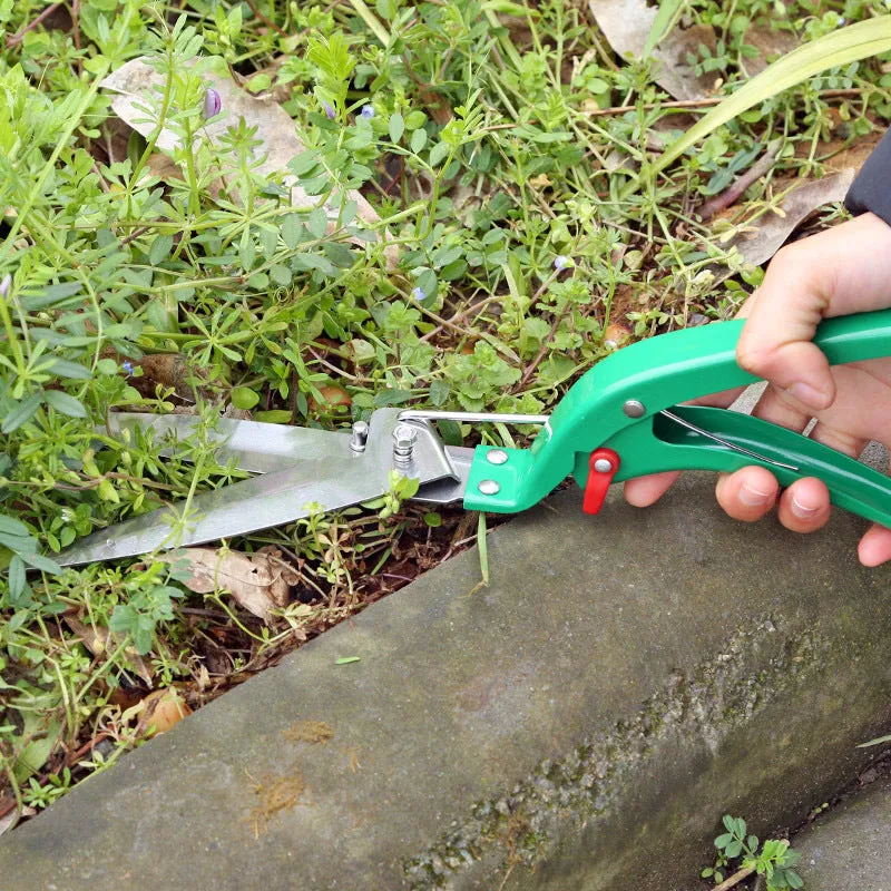 Ten-piece gardening tool set with iron heads and green plastic handles on a wooden background