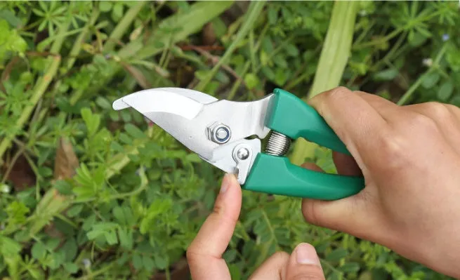 Ten-piece gardening tool set with iron heads and green plastic handles on a wooden background