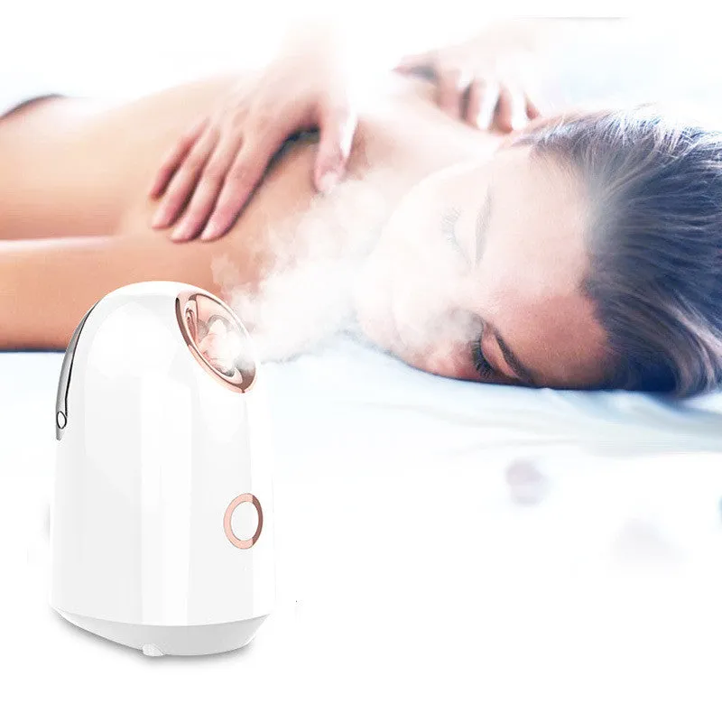 White steam facial spray hydration apparatus with 150ml water tank, USA 220V warm mist steamer