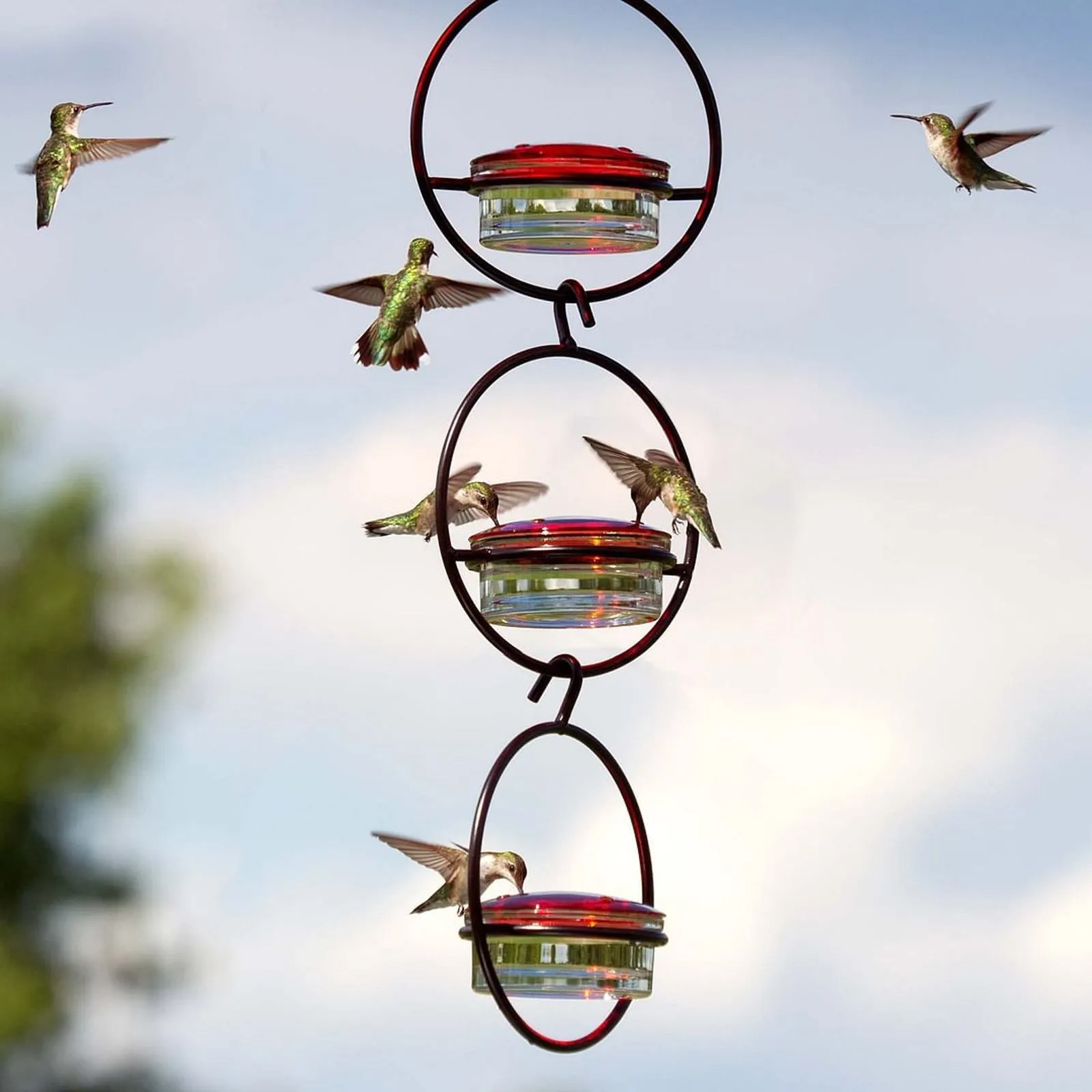 Metal round hanging hummingbird feeder in black with perch and nectar ports on outdoor hook