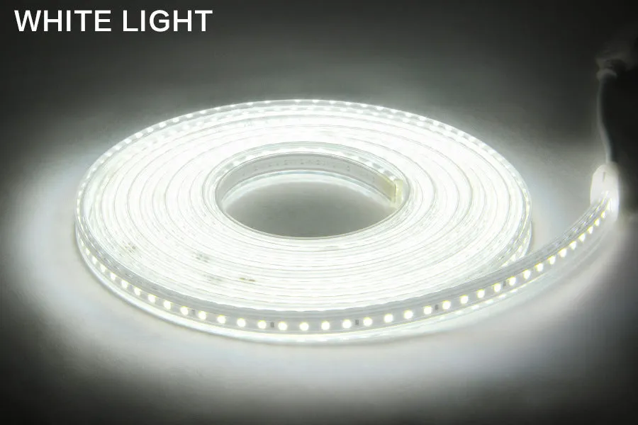 220V LED strip light with 120 LEDs per metre, waterproof, white light, 13mm width, EU plug