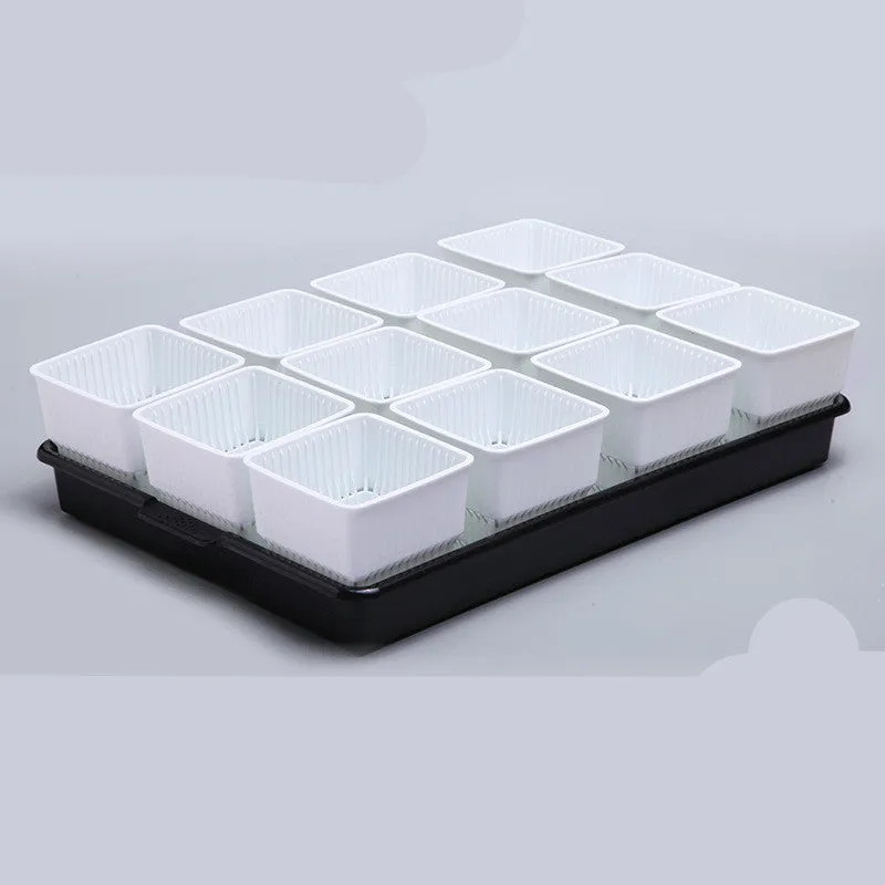 Black and white root control plastic flower pot for succulents with multiple basin colour options